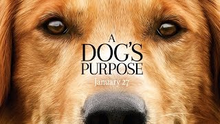 A Dogs Purpose  Official Trailer HD