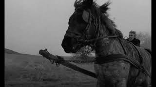 The Turin Horse 2011  Opening Scene