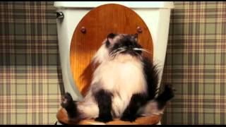 Date Movie  Kitty Takes a Dump