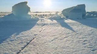 BBC  Frozen Planet  Trailer HD