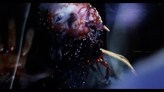 THE VOID  2016  Horror Trailer