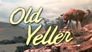 Old Yeller  Disneycember