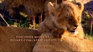 African Cats 2011  Trailer