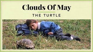 Clouds of May  The Turtle