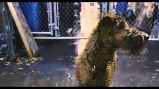 Firehouse Dog Official Trailer