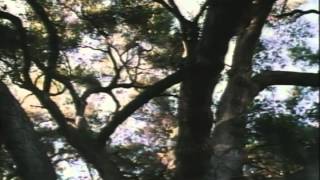 Grace Of My Heart Trailer 1996