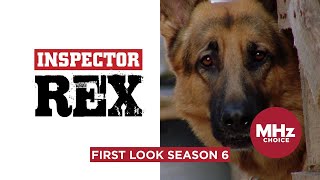 First Look Inspector Rex Season 6