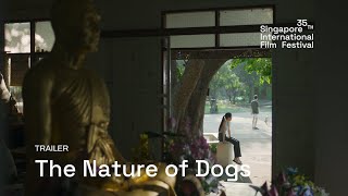 The Nature of Dogs Trailer  SGIFF 2024