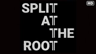 Split at the Root 2022 Clip