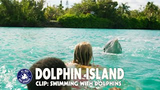 Dolphin Island  Clip 3 Swimming with Dolphins