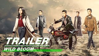 Final Trailer Tonight November 27 Exclusively on iQIYI  Wild Bloom    iQIYI