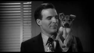 STEVE MARTIN  DEAD MEN DONT WEAR PLAID PUPPY SCENE