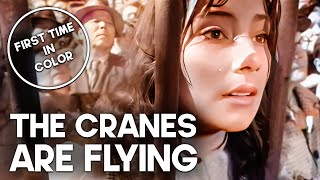 The Cranes Are Flying  Romantic Film