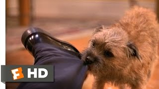 Theres Something About Mary 35 Movie CLIP  Dog Fight 1998 HD