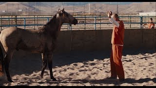 The Mustang  Official Trailer Universal Pictures HD