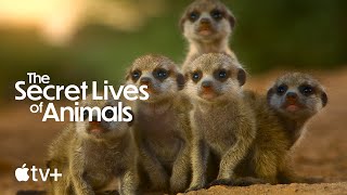 The Secret Lives of Animals  Official Trailer  Apple TV