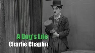 Charlie Chaplin  A Dogs Life  Hand Scene Puppet Gag