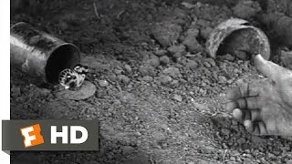 The Butterfly  All Quiet on the Western Front 1010 Movie CLIP 1930 HD