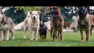 Marmaduke    Official Trailer HD    2010