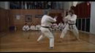 Soke Kubota in THE MECHANIC 1972  Legendary Budo Masters