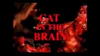 A cat in the brain 1990 Trailer Ingls