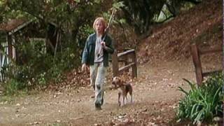 Shiloh 1996 Movie Trailer Beagle dog