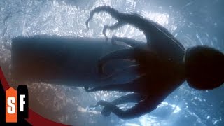 Tentacles 11 Terrifying Boat Attack 1977 HD