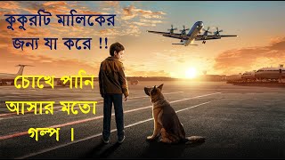 A Dog Named Palma 2021  Bangla Explain  Movie  Emotional  Russian  CineExplain in Bangla 