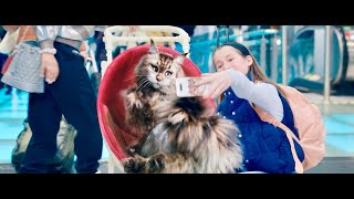 Cat  Dog  The Great Crossing  Chien et chat 2024  Trailer English Subs