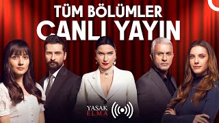 Yasak Elma Canl Yayn Tm Blmler 724 canlyayn yasakelma