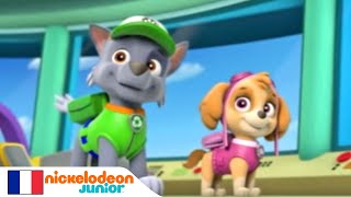 Paw Patrol  La Pat Patrouille  Premier sauvetage en mer NICKELODEON JUNIOR