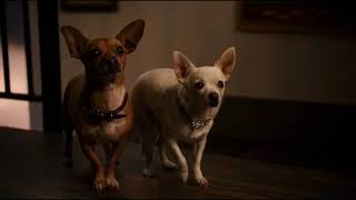 beverly hills chihuahua 2 2011  papi jr gets saved by delgado