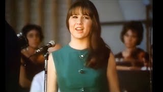 The Seekers  Georgy Girl 1967  Stereo