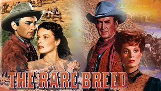 The Rare Breed 1966 Movie  James Stewart Maureen OHara Brian Keith  Fact And Review