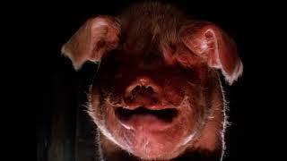 Animal Farm 1999  Trailer