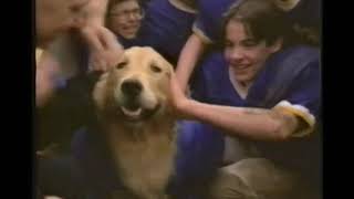 Air Bud Golden Receiver Movie Trailer 1998  Video Spot