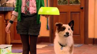 Dog With A Blog  Disney Channel Official