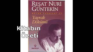 Reat Nuri Gntekin Yaprak DkmKitap zetiKii TahliliYazar Hakknda Bilgi