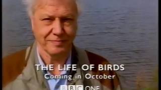 BBC Trailer  The Life of Birds Sept 1998