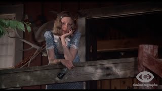 Thieves Like Us 1974 Cinmatographe 4K UHD  Bluray Promo Trailer