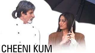 Cheeni Kum 2007 Bollywood Ki Jabardast Romantic Hindi Movie  Amitabh Bachchan Tabu  Love Story