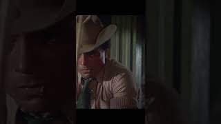 Robert Blake hits man in the head with a pool cue in Tell Them Willie Boy Is Here shorts movie