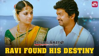 Love at First Sight   Vettaikaaran  Vijay  Anushka Shetty  Sun NXT