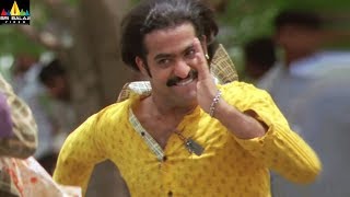 Yamadonga Movie Scenes  Jr NTR Intro Fight Scene  SS Rajamouli Priyamani  Sri Balaji Video