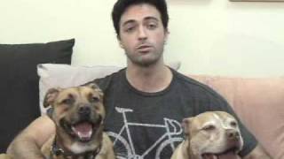 My Boys Actor Reid Scott PSA End Dogfighting