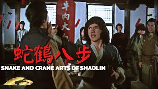 Jackie Chans Snake and Crane Arts of Shaolin 1978 EXCLUSIVE