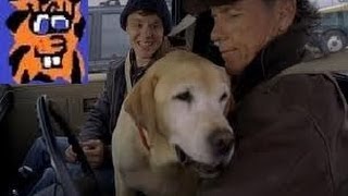 A Dog Named Christmas 2009 movie review