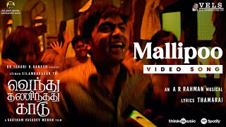 Mallipoo Video Song  VTK  HDR  Silambarasan TR  Gautham Vasudev Menon    ARRahman  Vels