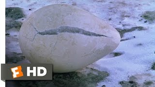 March of the Penguins 14 Movie CLIP  Protecting the Egg 2005 HD