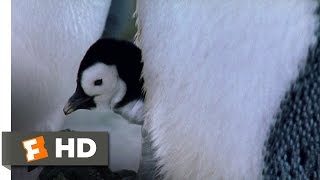 March of the Penguins 34 Movie CLIP  Family Reunion 2005 HD